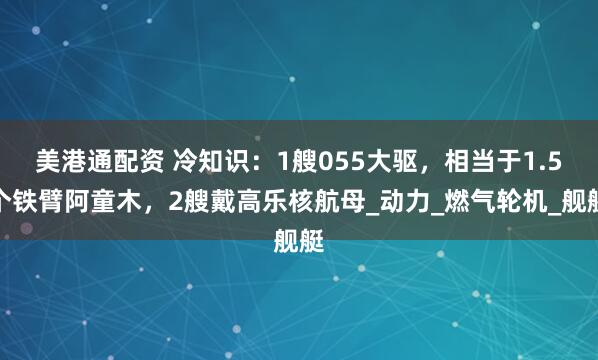 美港通配资 冷知识：1艘055大驱，相当于1.5个铁臂阿童木，2艘戴高乐核航母_动力_燃气轮机_舰艇