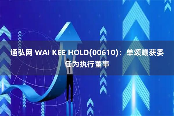 通弘网 WAI KEE HOLD(00610)：单颂曦获委任为执行董事