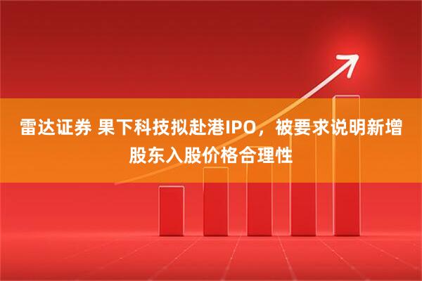 雷达证券 果下科技拟赴港IPO,被要求说明新增股东入股价格合理性